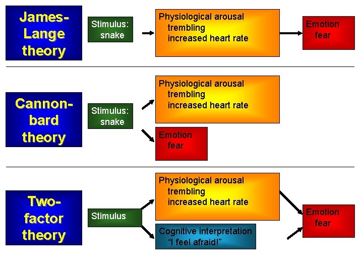 James. Lange theory Cannonbard theory Twofactor theory Stimulus: snake Physiological arousal trembling increased heart