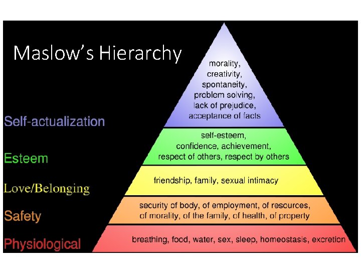 Maslow’s Hierarchy 