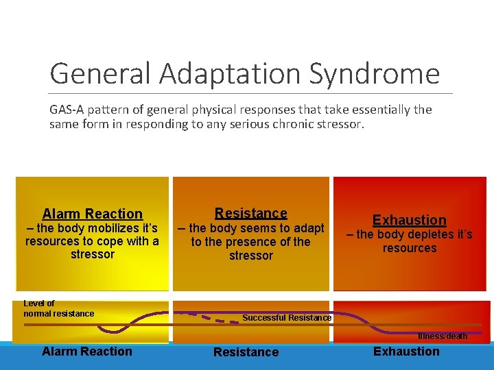 General Adaptation Syndrome GAS-A pattern of general physical responses that take essentially the same