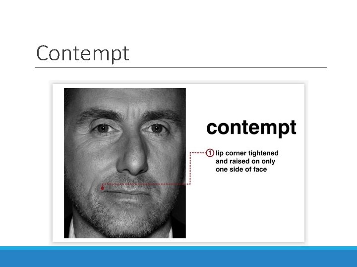 Contempt 