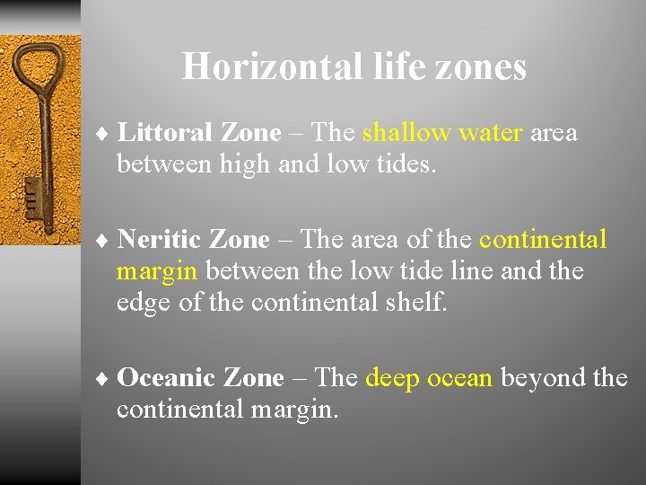 Horizontal life zones ¨ Littoral Zone – The shallow water area between high and