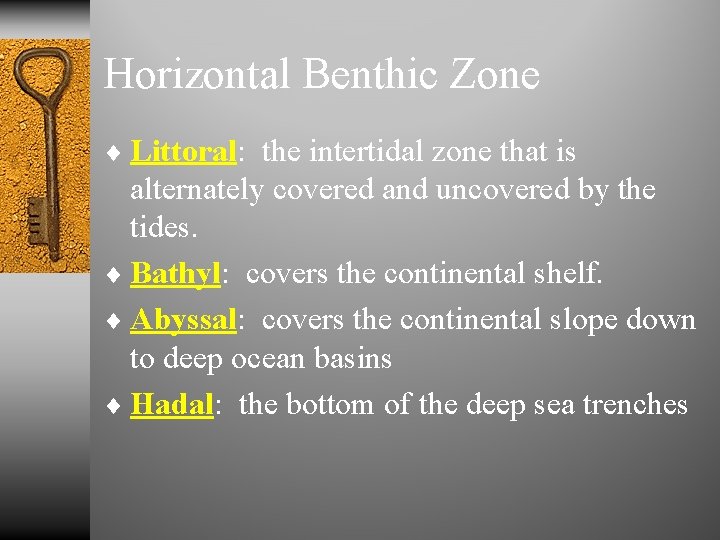 Horizontal Benthic Zone ¨ Littoral: the intertidal zone that is alternately covered and uncovered