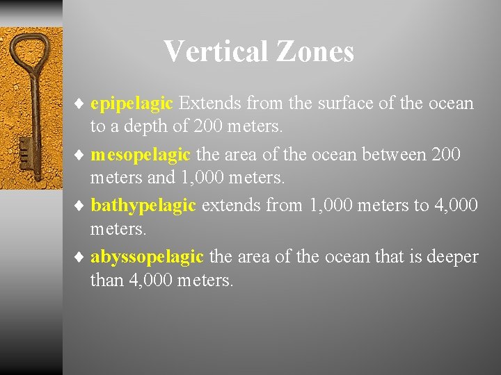 Vertical Zones ¨ epipelagic Extends from the surface of the ocean to a depth
