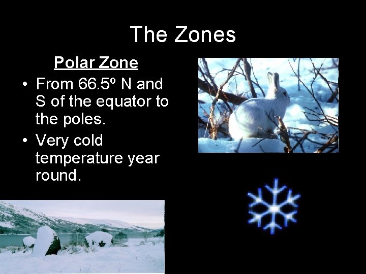 The Zones Polar Zone • From 66. 5º N and S of the equator