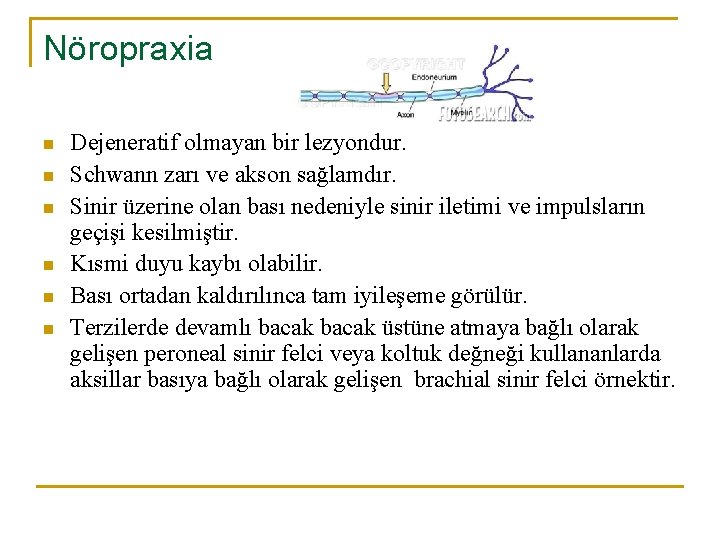 Nöropraxia n n n Dejeneratif olmayan bir lezyondur. Schwann zarı ve akson sağlamdır. Sinir