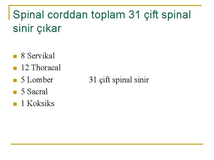 Spinal corddan toplam 31 çift spinal sinir çıkar n n n 8 Servikal 12