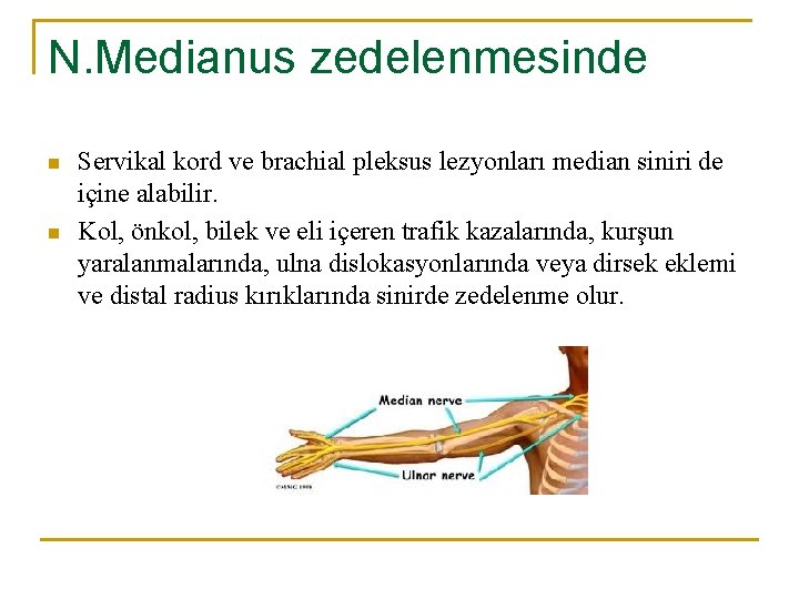 N. Medianus zedelenmesinde n n Servikal kord ve brachial pleksus lezyonları median siniri de