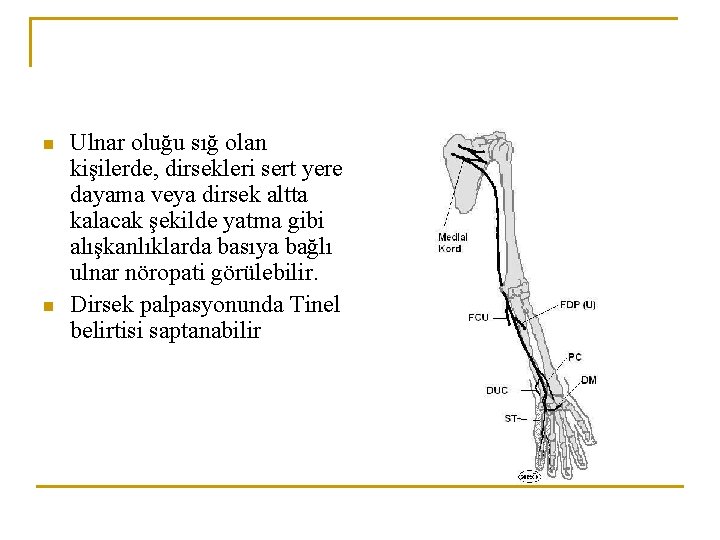 n n Ulnar oluğu sığ olan kişilerde, dirsekleri sert yere dayama veya dirsek altta