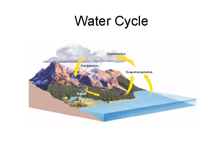 Water Cycle 