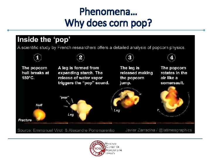 Phenomena… Why does corn pop? 