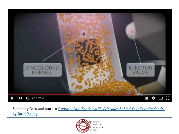 Exploding Corn and more in Gourmet Lab: The Scientific Principles Behind Your Favorite Foods,