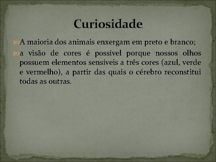 Curiosidade A maioria dos animais enxergam em preto e branco; a visão de cores