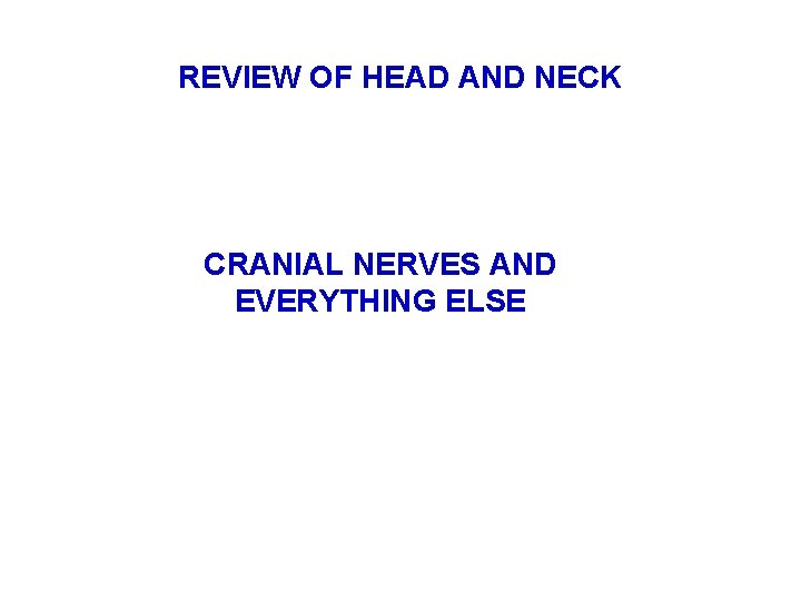 REVIEW OF HEAD AND NECK CRANIAL NERVES AND EVERYTHING ELSE 