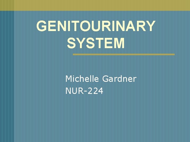 GENITOURINARY SYSTEM Michelle Gardner NUR-224 