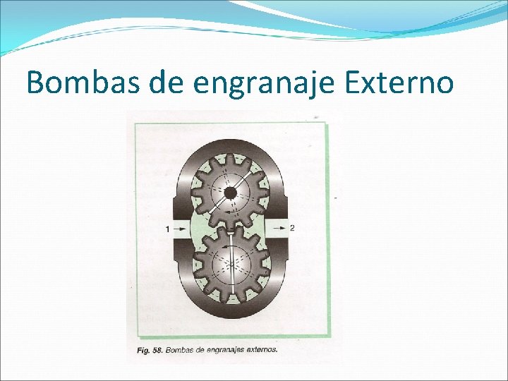 Bombas de engranaje Externo 