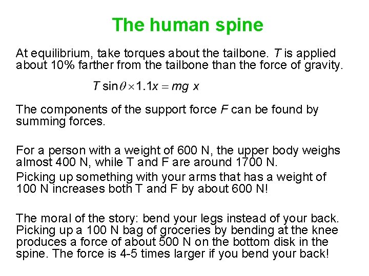 The human spine At equilibrium, take torques about the tailbone. T is applied about
