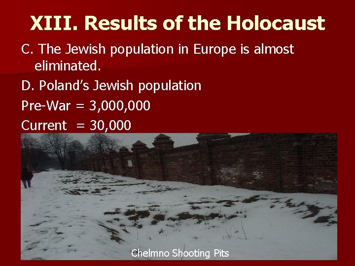 XIII. Results of the Holocaust C. The Jewish population in Europe is almost eliminated. XIII. Results of the Holocaust C. The Jewish population in Europe is almost eliminated.