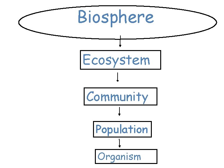 Biosphere Ecosystem Community Population Organism 