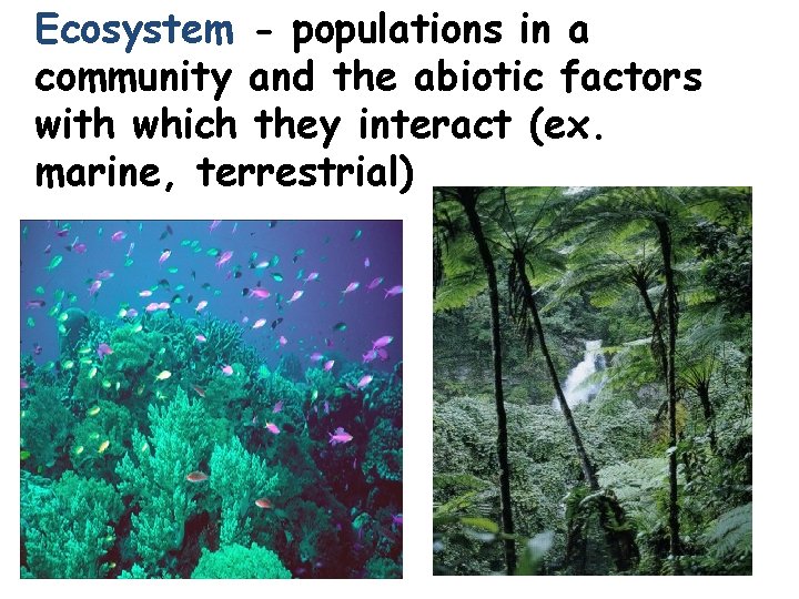 Ecosystem - populations in a community and the abiotic factors with which they interact