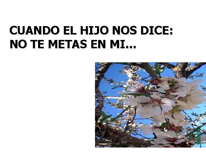 CUANDO EL HIJO NOS DICE: NO TE METAS EN MI… 