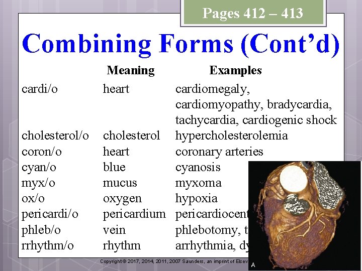 Chapter 11 Objectives v Name the parts of