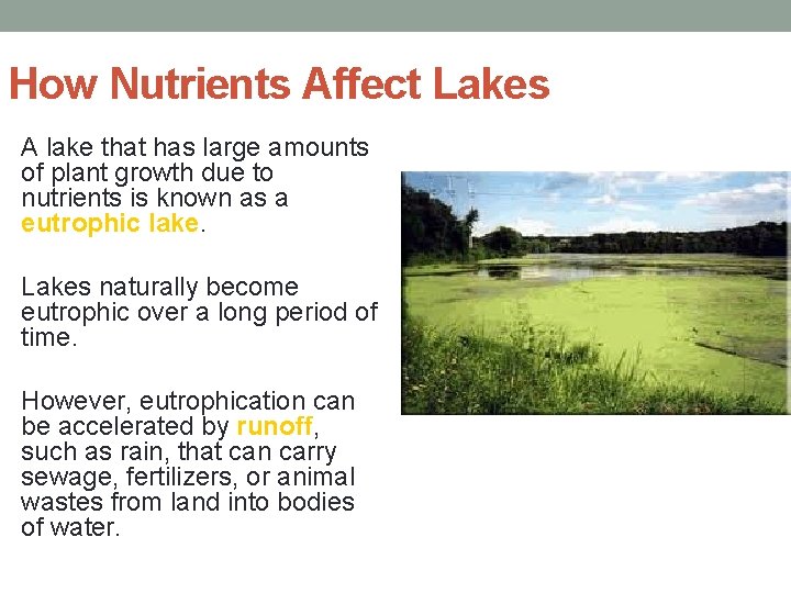 How Nutrients Affect Lakes A lake that has large amounts of plant growth due