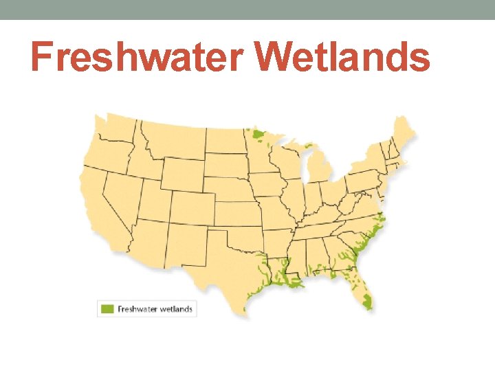 Freshwater Wetlands 