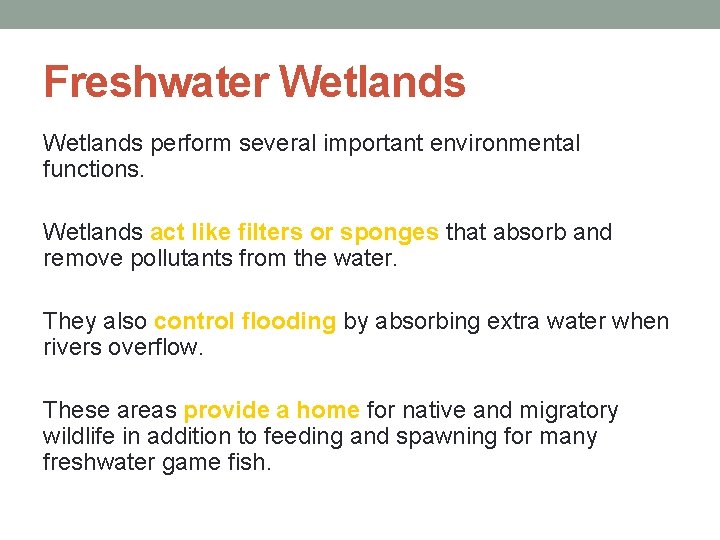 Freshwater Wetlands perform several important environmental functions. Wetlands act like filters or sponges that