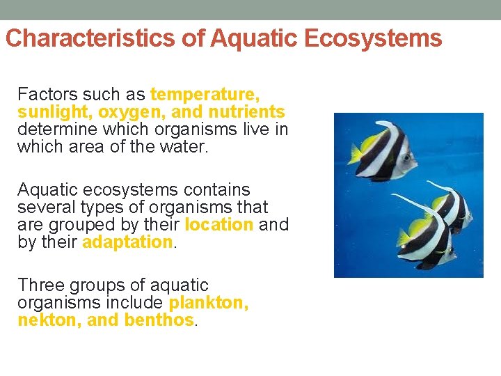 Characteristics of Aquatic Ecosystems Factors such as temperature, sunlight, oxygen, and nutrients determine which