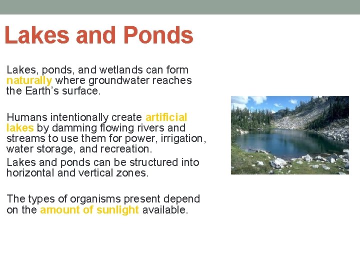 Lakes and Ponds Lakes, ponds, and wetlands can form naturally where groundwater reaches the
