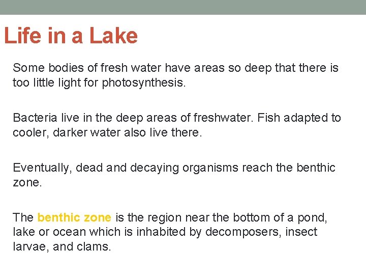 Life in a Lake Some bodies of fresh water have areas so deep that