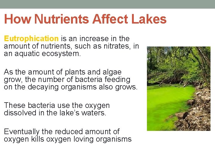 How Nutrients Affect Lakes Eutrophication is an increase in the amount of nutrients, such