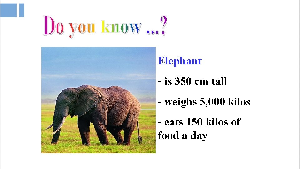 Elephant - is 350 cm tall - weighs 5, 000 kilos - eats 150