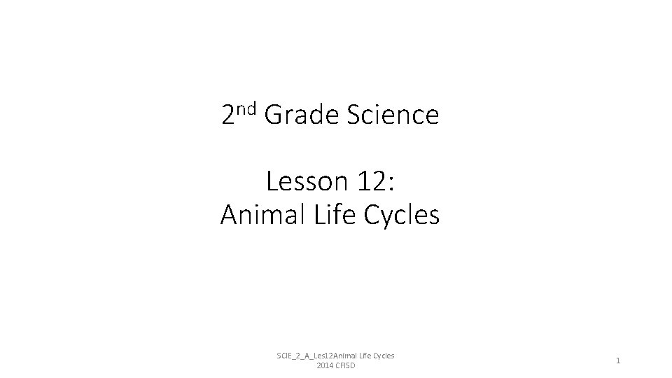 2 nd Grade Science Lesson 12 Animal Life