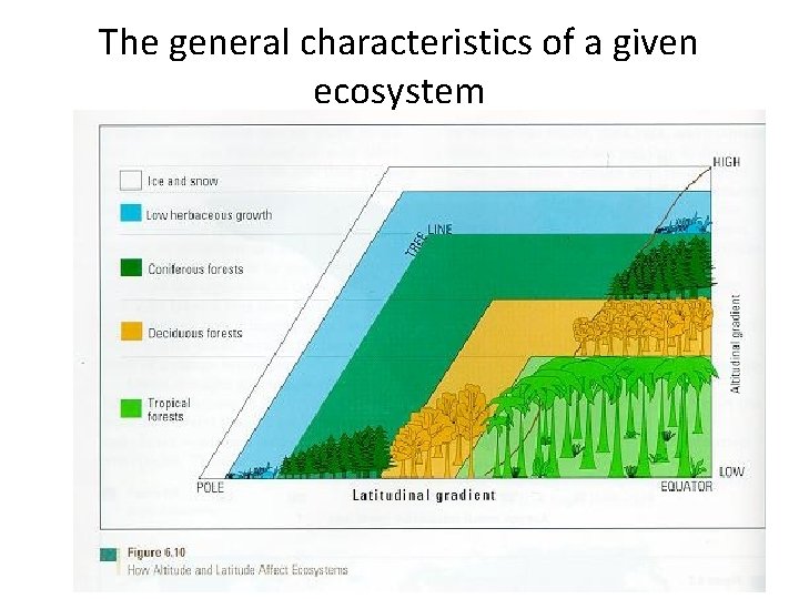 The general characteristics of a given ecosystem 