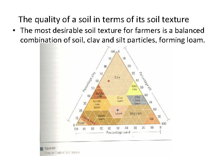 The quality of a soil in terms of its soil texture • The most