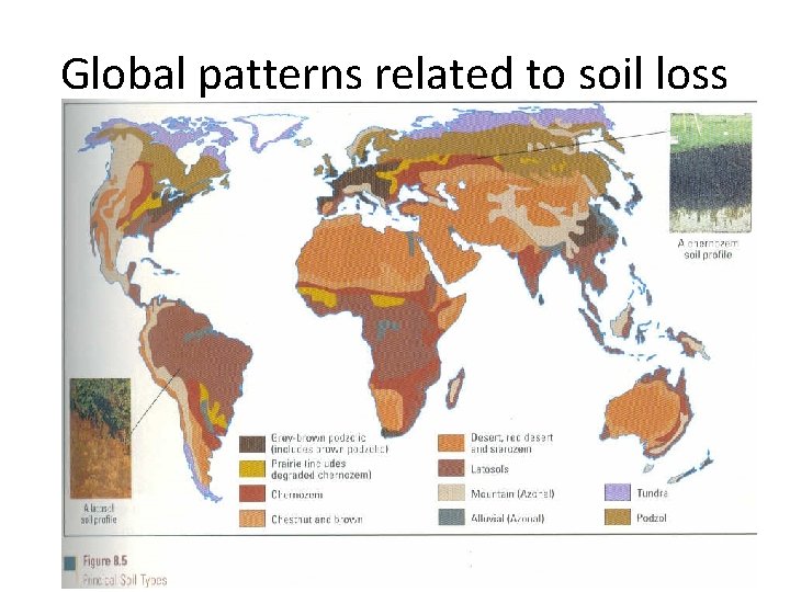 Global patterns related to soil loss 