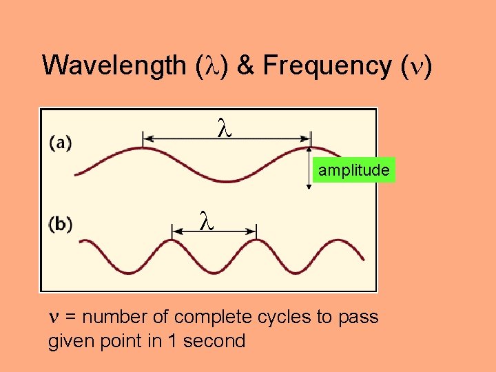 Wavelength ( ) & Frequency ( ) amplitude = number of complete cycles to