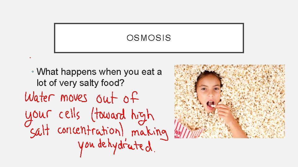 OSMOSIS • What happens when you eat a lot of very salty food? 