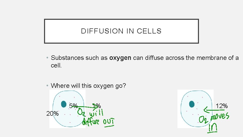 DIFFUSION IN CELLS • Substances such as oxygen can diffuse across the membrane of