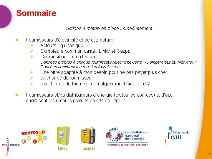 Sommaire Actions à mettre en place immédiatement n Fournisseurs d’électricité et de gaz naturel