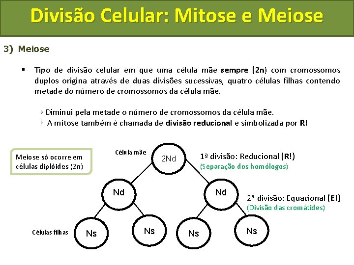 Divisão Celular: Mitose e Meiose 3) Meiose § Tipo de divisão celular em que