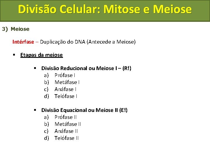 Divisão Celular: Mitose e Meiose 3) Meiose Intérfase – Duplicação do DNA (Antecede a