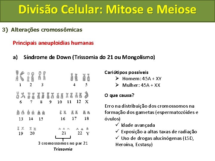 Divisão Celular: Mitose e Meiose 3) Alterações cromossômicas Principais aneuploidias humanas a) Síndrome de