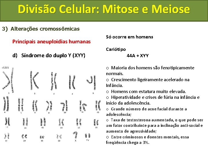 Divisão Celular: Mitose e Meiose 3) Alterações cromossômicas Principais aneuploidias humanas d) Síndrome do