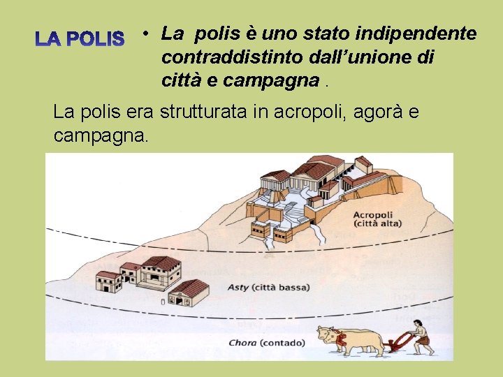  • La polis è uno stato indipendente contraddistinto dall’unione di città e campagna.