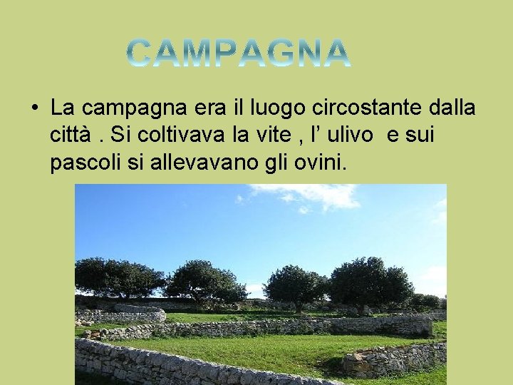  • La campagna era il luogo circostante dalla città. Si coltivava la vite