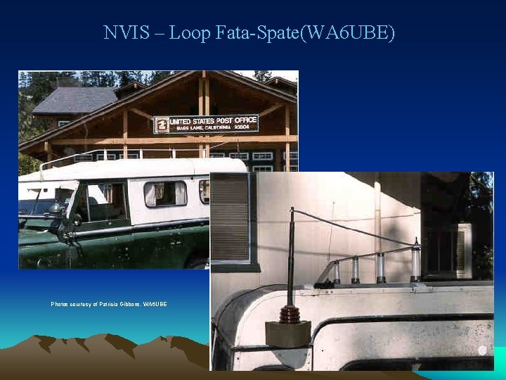 NVIS – Loop Fata-Spate(WA 6 UBE) Photos courtesy of Patricia Gibbons, WA 6 UBE