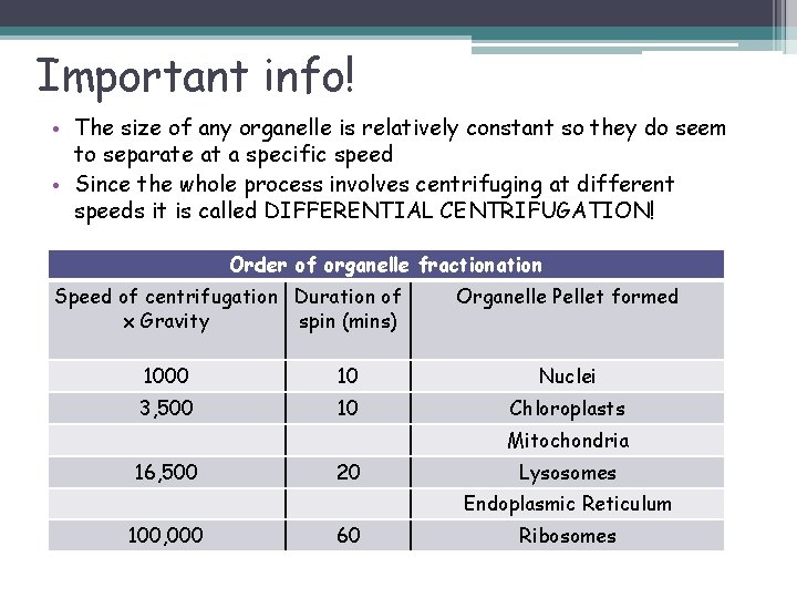 Important info! • The size of any organelle is relatively constant so they do