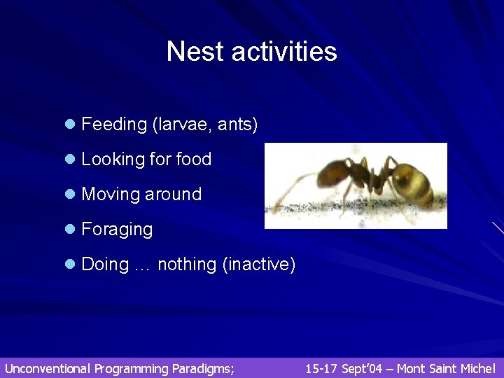 Nest activities l Feeding (larvae, ants) l Looking for food l Moving around l Nest activities l Feeding (larvae, ants) l Looking for food l Moving around l